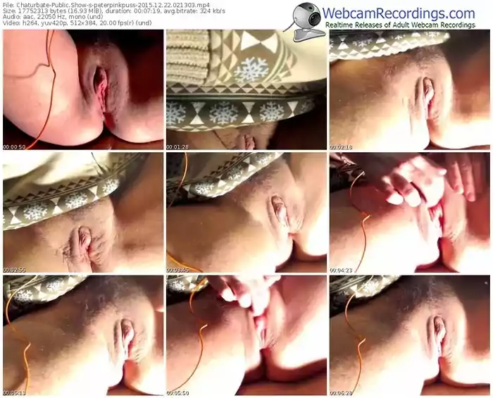 chaturbate-peterpinkpuss-webcam-show-12_22_2015-02_13_03