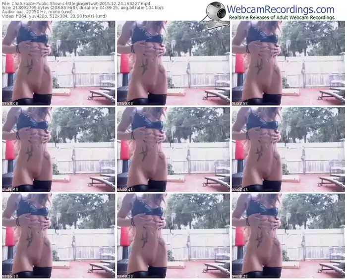 chaturbate-littlegingertwat-webcam-show-12_24_2015-16_32_27