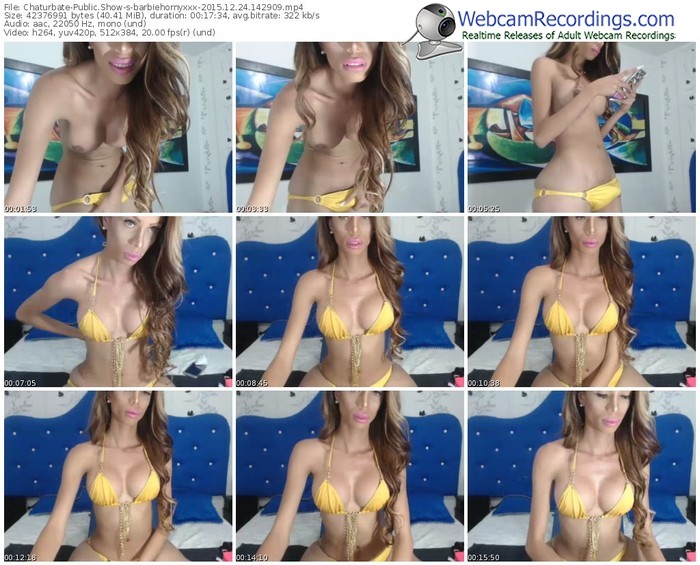 chaturbate-barbiehornyxxx-webcam-show-12_24_2015-14_29_09