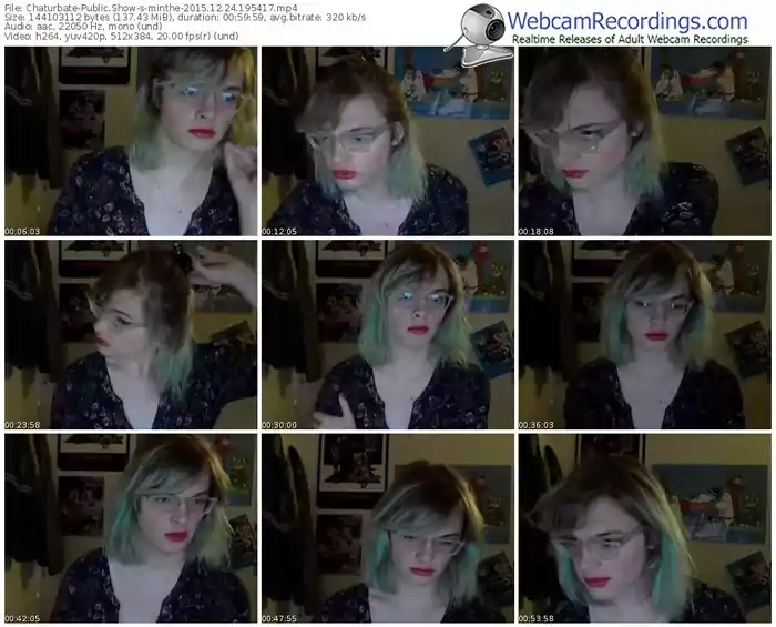 chaturbate-minthe-webcam-show-12_24_2015-19_54_17