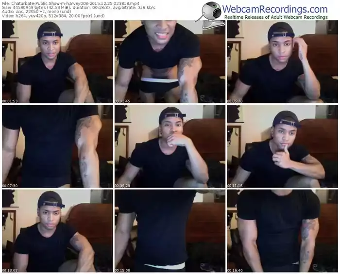 chaturbate-harvey008-webcam-show-12_25_2015-02_38_18
