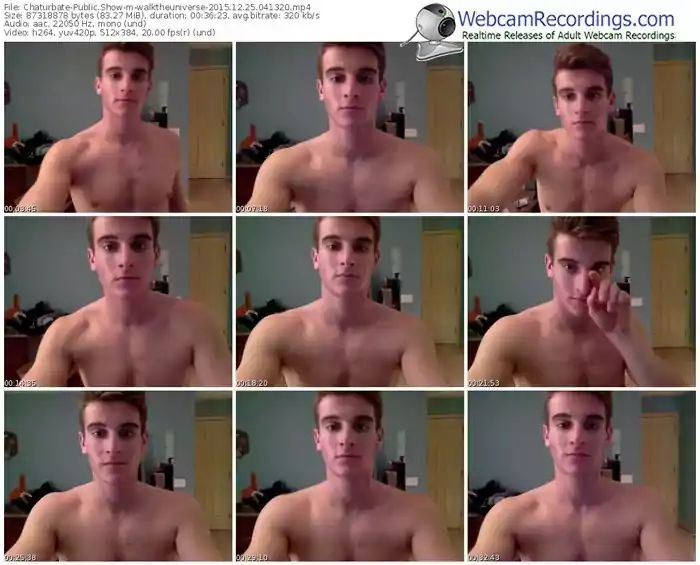 chaturbate-walktheuniverse-webcam-show-12_25_2015-04_13_20