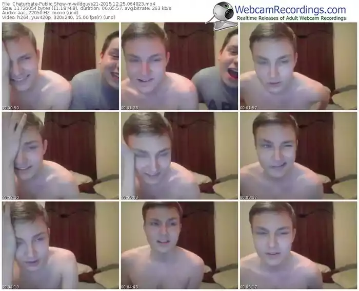chaturbate-wildguys21-webcam-show-12_25_2015-06_48_23
