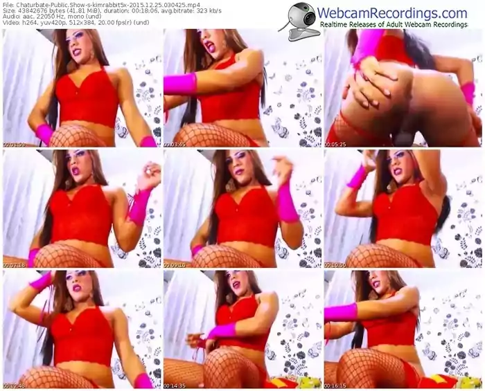 chaturbate-kimrabbit5x-webcam-show-12_25_2015-03_04_25