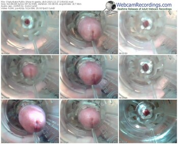 chaturbate-geeky_dick-webcam-show-12_27_2015-16_54_32