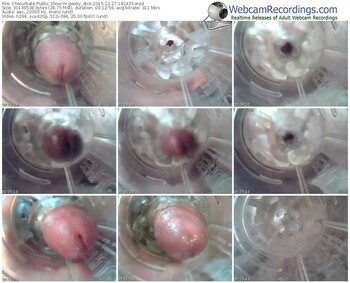 chaturbate-geeky_dick-webcam-show-12_27_2015-18_24_33
