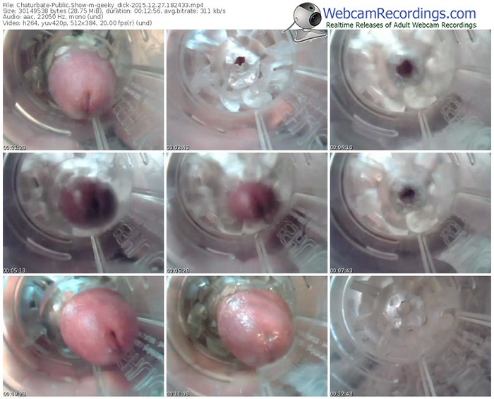 chaturbate-geeky_dick-webcam-show-12_27_2015-18_24_33