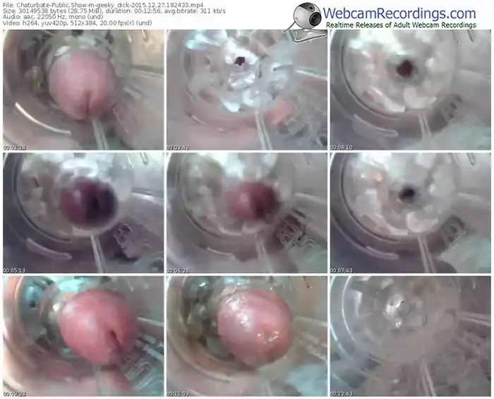 chaturbate-geeky_dick-webcam-show-12_27_2015-18_24_33