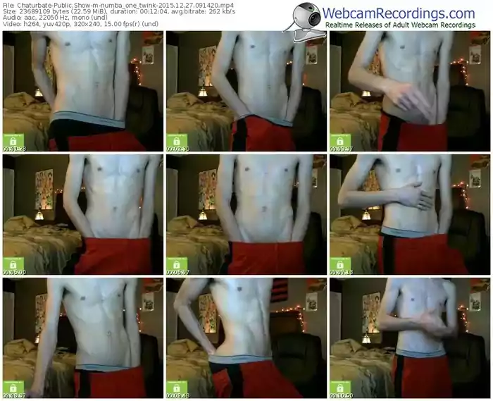 chaturbate-numba_one_twink-webcam-show-12_27_2015-09_14_20
