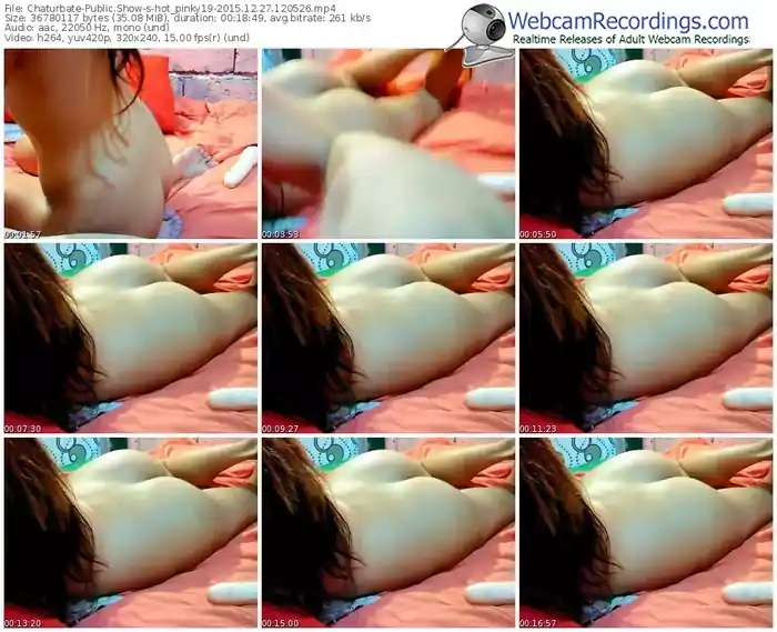 chaturbate-hot_pinky19-webcam-show-12_27_2015-12_05_26