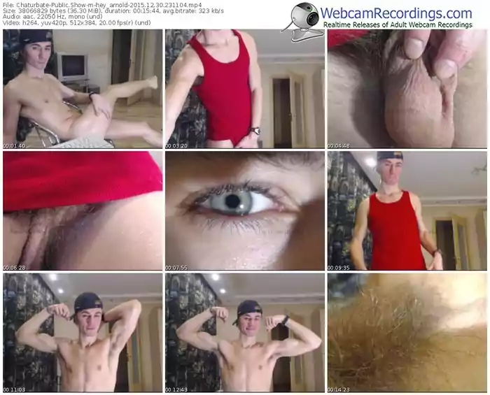 chaturbate-hey_arnold-webcam-show-12_30_2015-23_11_04