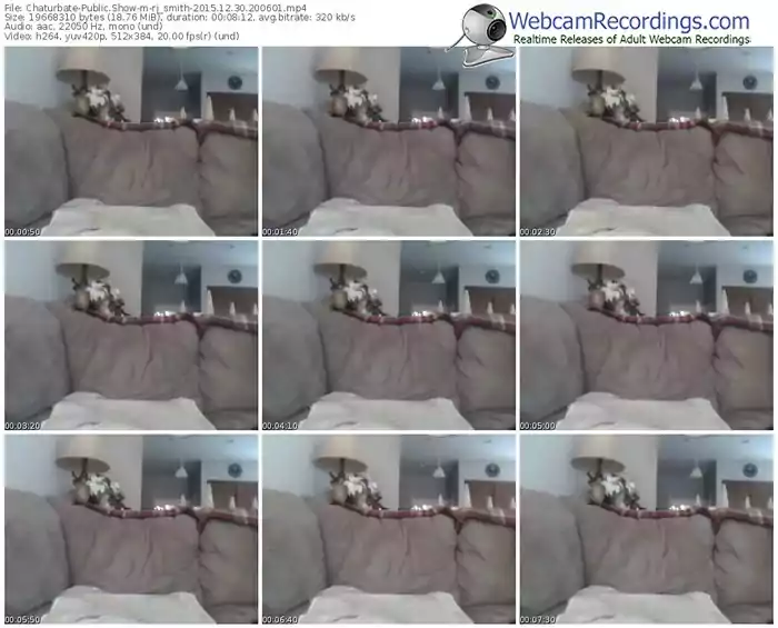 chaturbate-rj_smith-webcam-show-12_30_2015-20_06_01