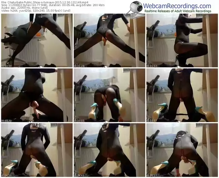 chaturbate-tvmaus-webcam-show-12_30_2015-13_11_49