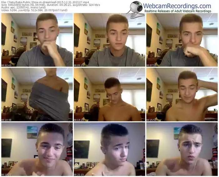 chaturbate-dreamleaf-webcam-show-12_31_2015-20_21_27