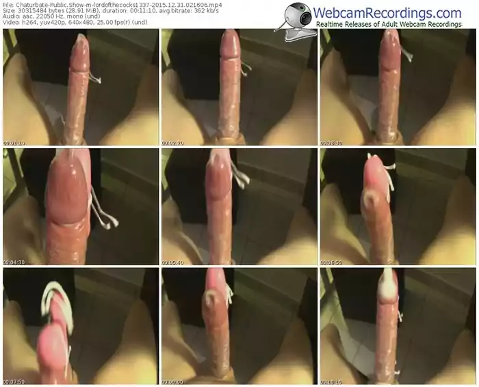 chaturbate-lordofthecocks1337-webcam-show-12_31_2015-02_16_06