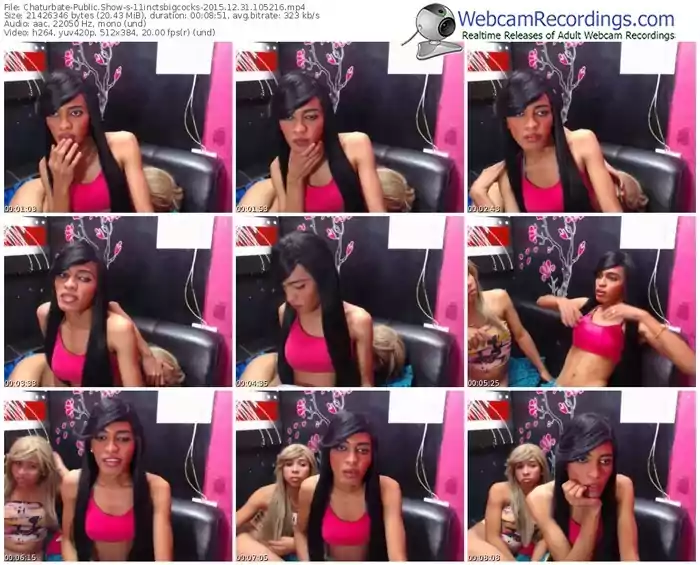 chaturbate-11inctsbigcocks-webcam-show-12_31_2015-10_52_16