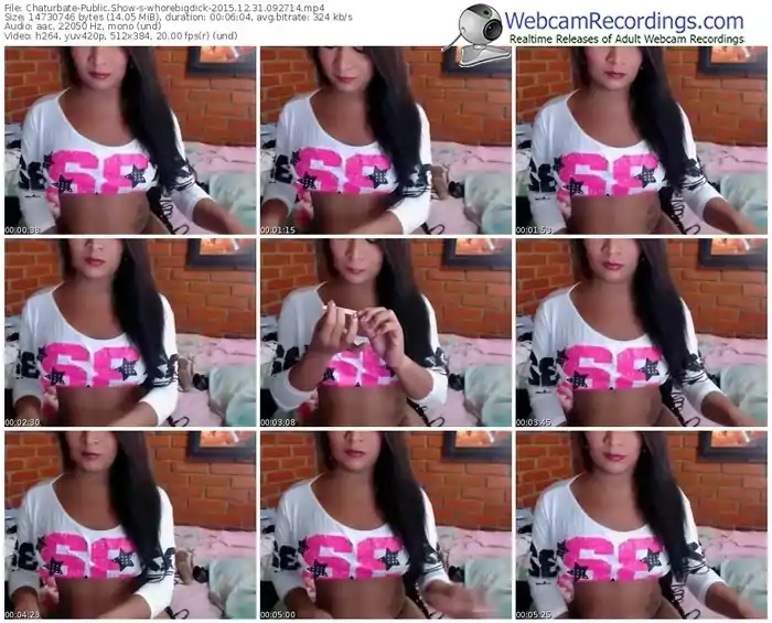 chaturbate-whorebigdick-webcam-show-12_31_2015-09_27_14