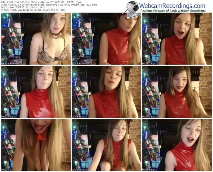 chaturbate-skyflex-webcam-show-01_01_2016-10_47_11