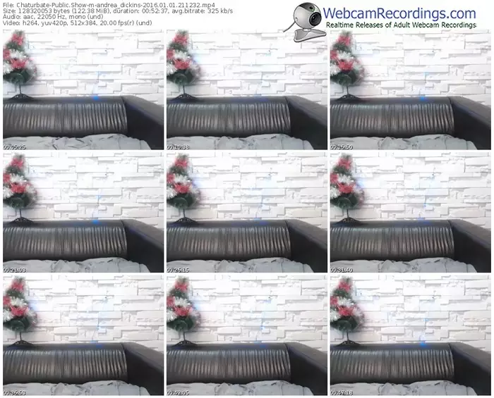 chaturbate-andrea_dickins-webcam-show-01_01_2016-21_12_32