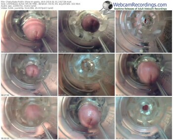 chaturbate-geeky_dick-webcam-show-01_01_2016-16_27_28