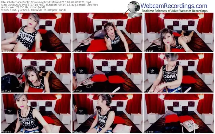 chaturbate-aphroditafleur-webcam-show-01_01_2016-00_37_31