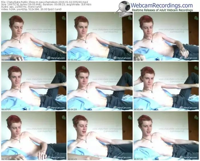 chaturbate-sexychameleon-webcam-show-01_02_2016-00_52_40