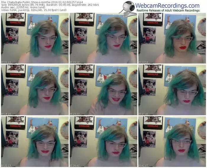 chaturbate-minthe-webcam-show-01_02_2016-00_12_57