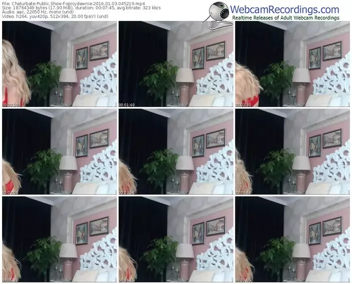 chaturbate-spicydawnie-webcam-show-01_03_2016-04_52_19