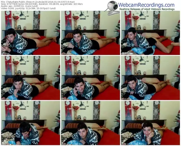 chaturbate-2cute2wild-webcam-show-01_04_2016-03_57_19