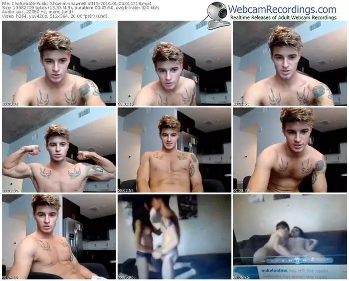 chaturbate-shawnelliott15-webcam-show-01_04_2016-01_47_18