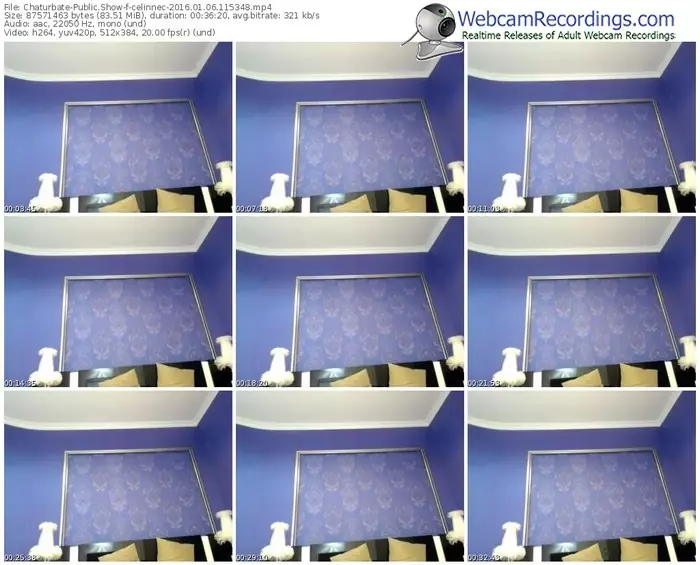 chaturbate-celinnec-webcam-show-01_06_2016-11_53_48