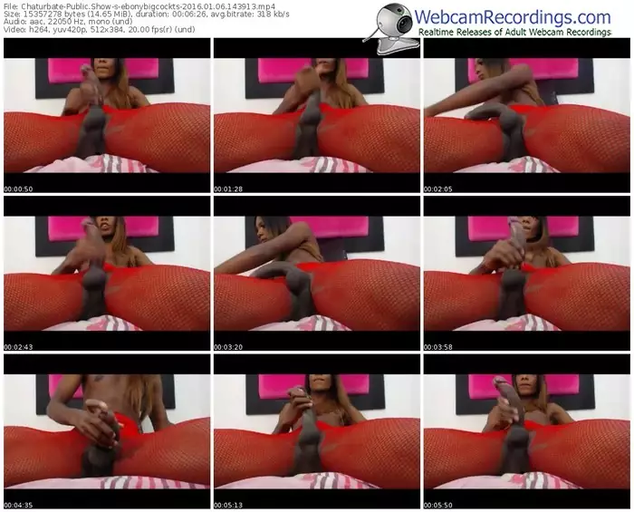chaturbate-ebonybigcockts-webcam-show-01_06_2016-14_39_13