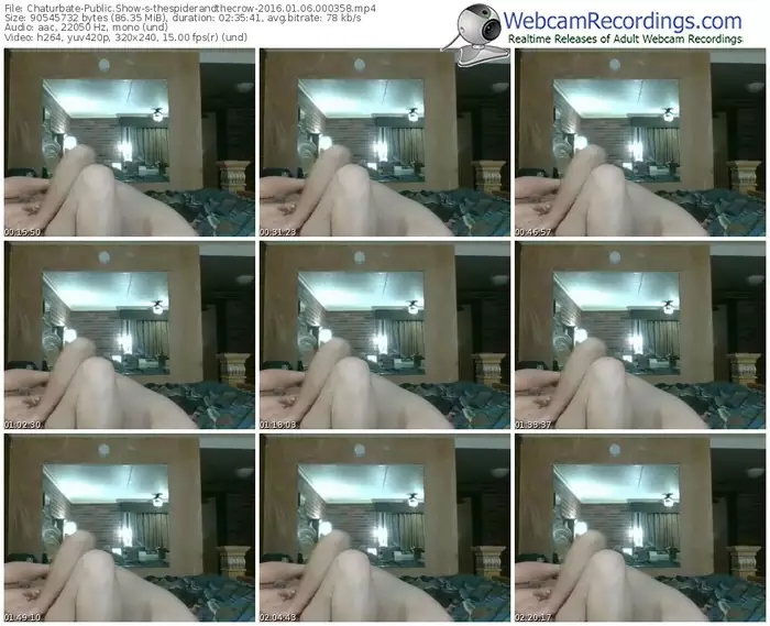 chaturbate-thespiderandthecrow-webcam-show-01_06_2016-00_03_58