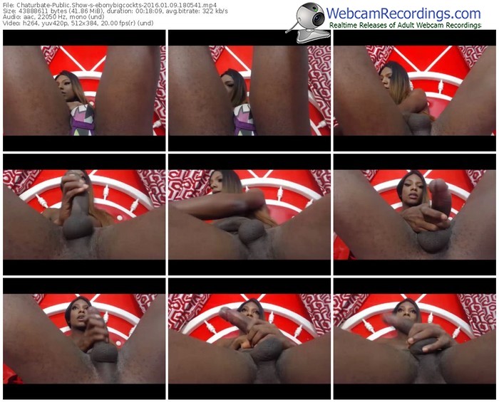 chaturbate-ebonybigcockts-webcam-show-01_09_2016-18_05_41