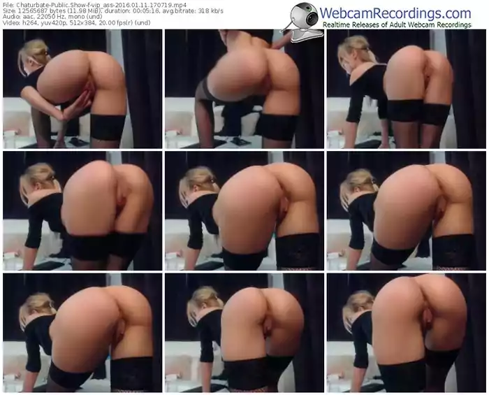 chaturbate-vip_ass-webcam-show-01_11_2016-17_07_19