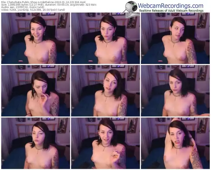 chaturbate-ridetheline-webcam-show-01_14_2016-22_13_04