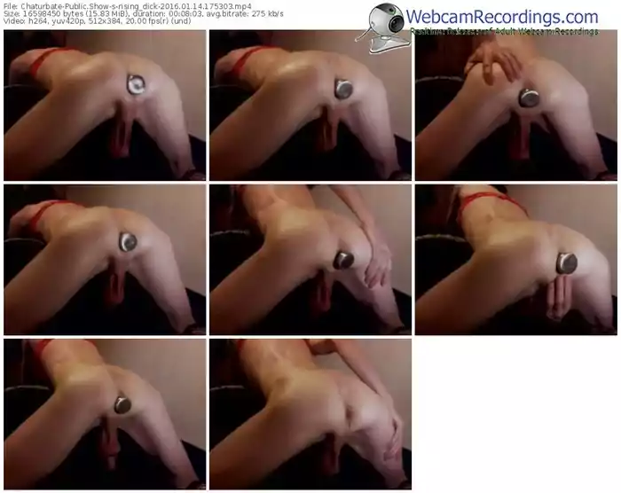 chaturbate-rising_dick-webcam-show-01_14_2016-17_53_03