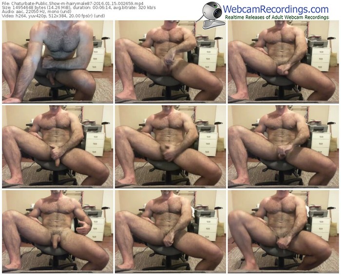 chaturbate-hairymale87-webcam-show-01_15_2016-00_26_59