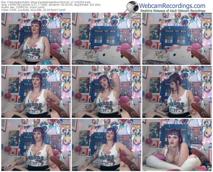 chaturbate-westerngeisha-webcam-show-01_17_2016-23_33_53