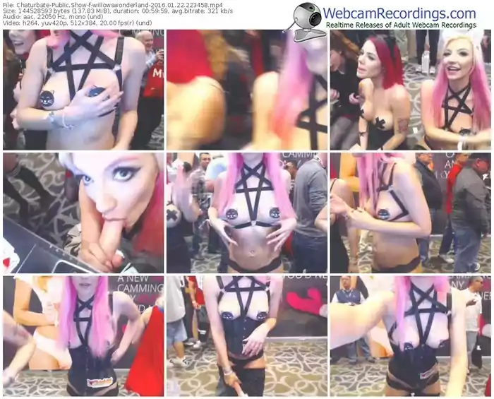 chaturbate-willowswonderland-webcam-show-01_22_2016-22_34_58