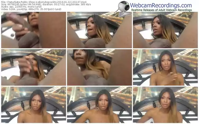 chaturbate-ebonybigcockts-webcam-show-01_22_2016-14_11_47