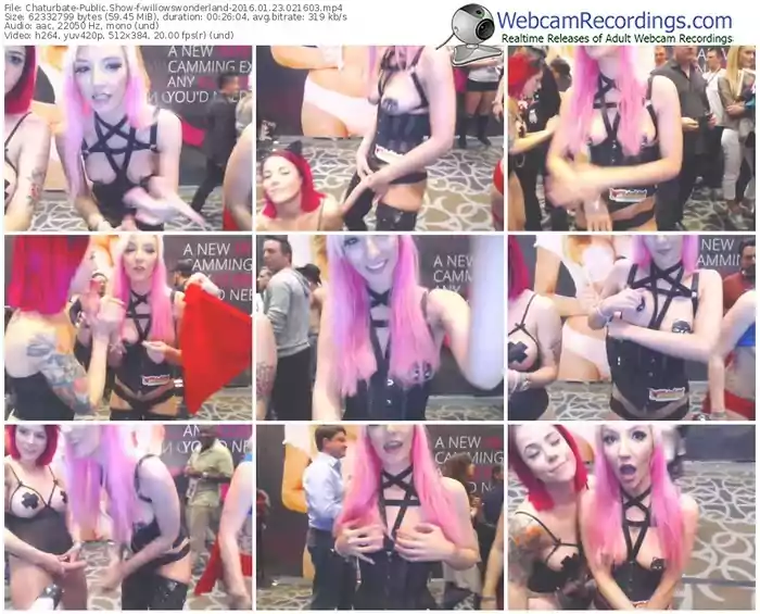 chaturbate-willowswonderland-webcam-show-01_23_2016-02_16_03