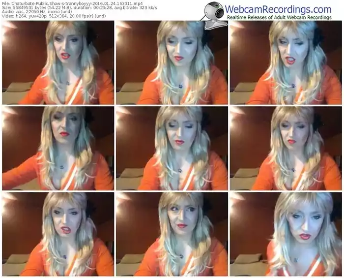 chaturbate-trannyboyyy-webcam-show-01_24_2016-16_33_11