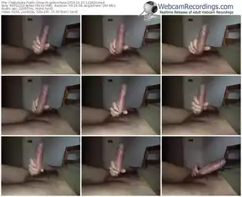 chaturbate-go9inchess-webcam-show-01_27_2016-12_24_20
