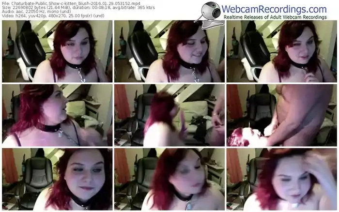 chaturbate-kitten_blush-webcam-show-01_29_2016-05_31_52