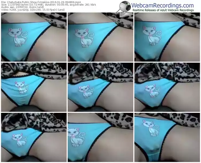 chaturbate-rinakiss-webcam-show-01_29_2016-09_48_06