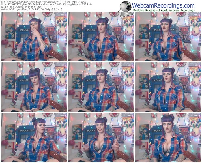 chaturbate-westerngeisha-webcam-show-01_29_2016-02_43_07