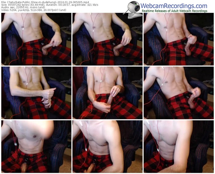 chaturbate-dudehung1-webcam-show-01_29_2016-06_50_05