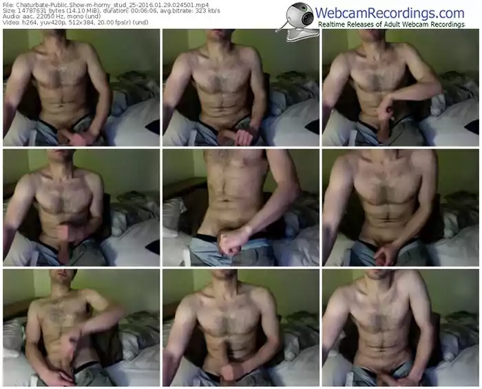 chaturbate-horny_stud_25-webcam-show-01_29_2016-02_45_01