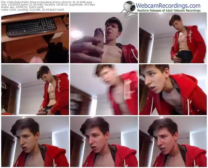 chaturbate-boyalwayshorny-webcam-show-01_31_2016-21_36_46